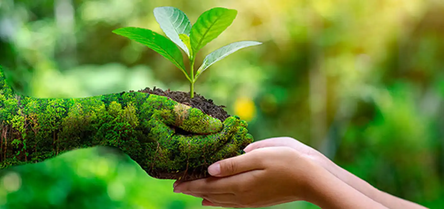 1989'dan beri sürdürülebilir bir yaşam için çalışıyoruz.